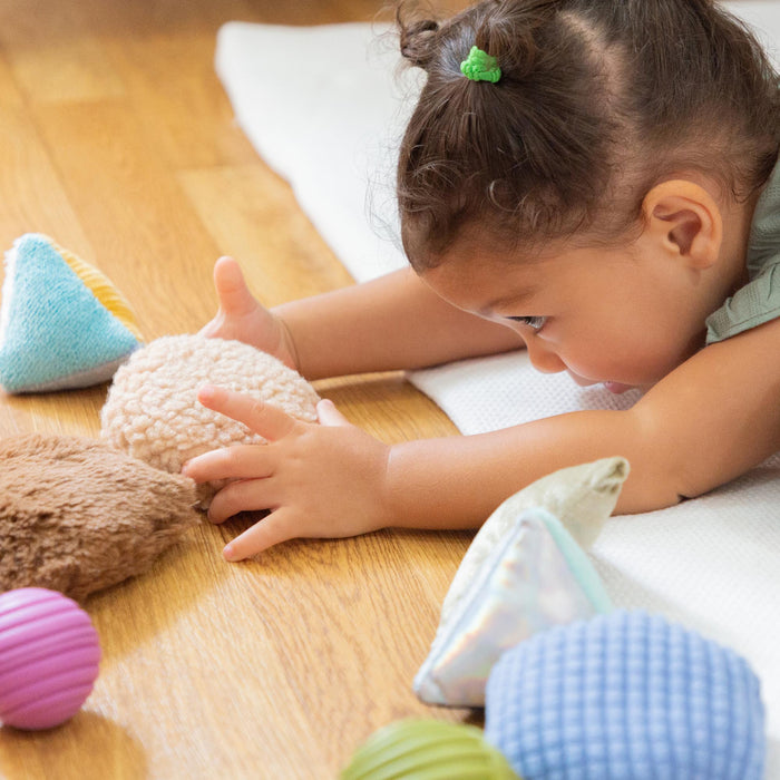 Touch & Feel Discovery Set