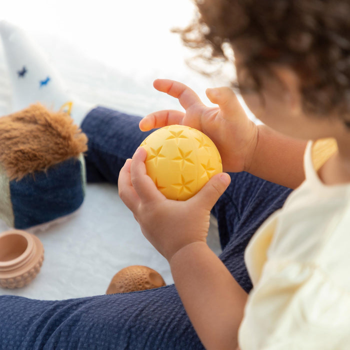 Touch & Feel Discovery Set