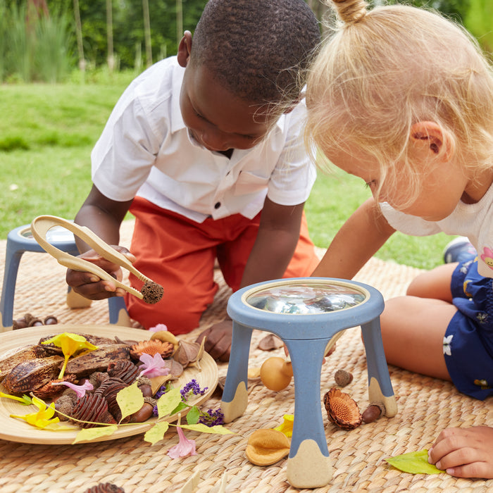 All-Weather Tabletop Magnifier Set of Two