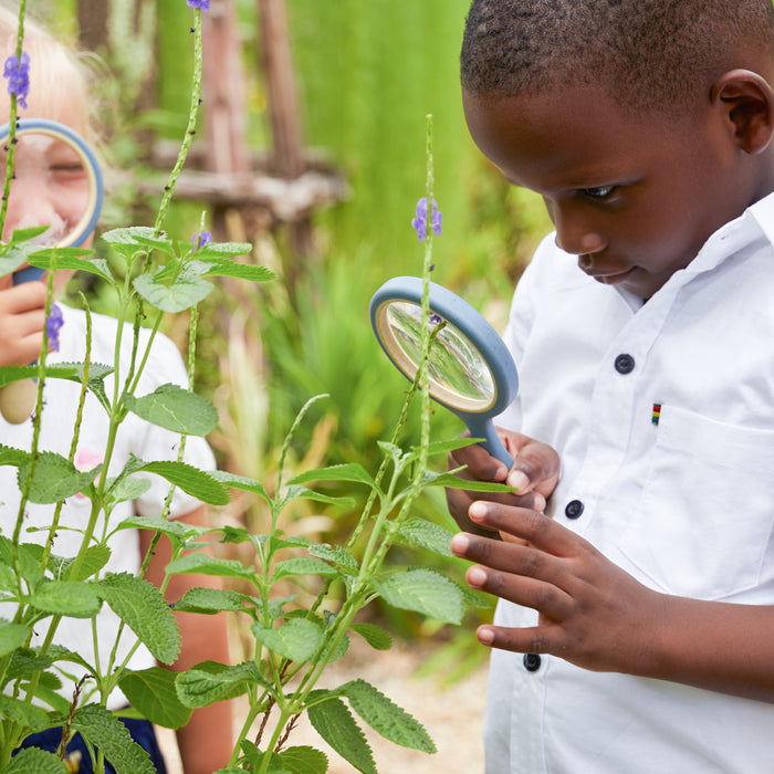 All-Weather Magnifying Glass Set of 4