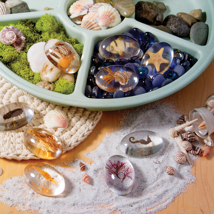 Oceanic Specimen Stones Set