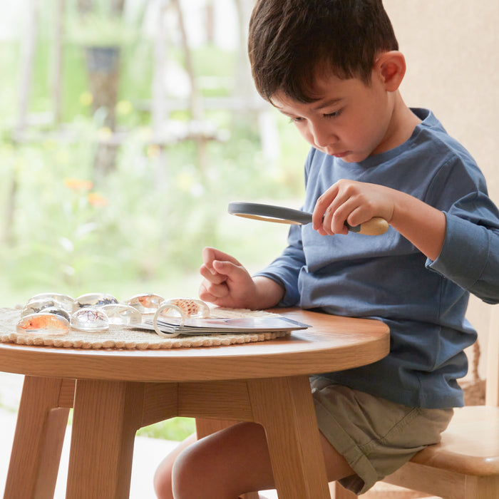 Oceanic Specimen Stones Set