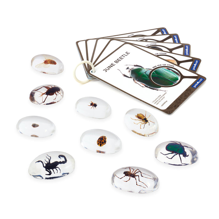 Mini Beast Specimen Stone Set