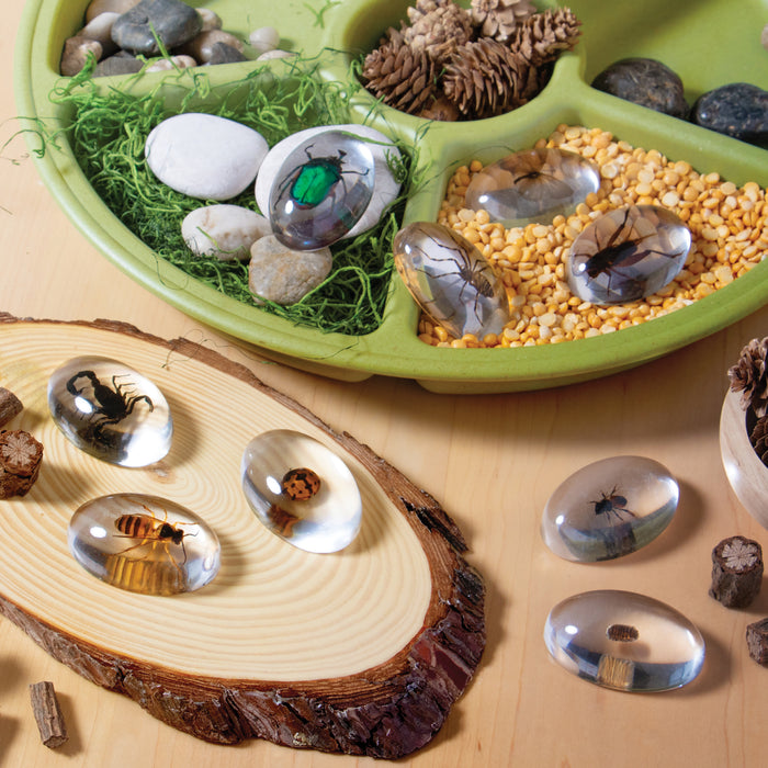 Mini Beast Specimen Stone Set