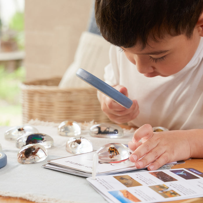 Mini Beast Specimen Stone Set