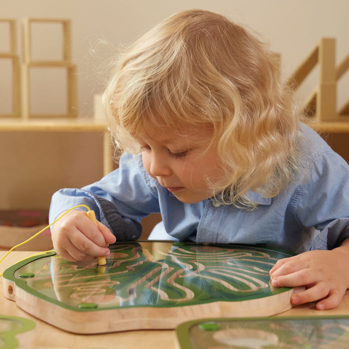 Nature's Paths Magnetic Leaf Maze Set of 3