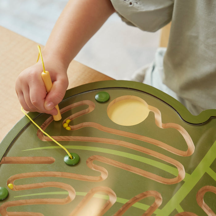 Nature's Paths Magnetic Leaf Maze Set of 3