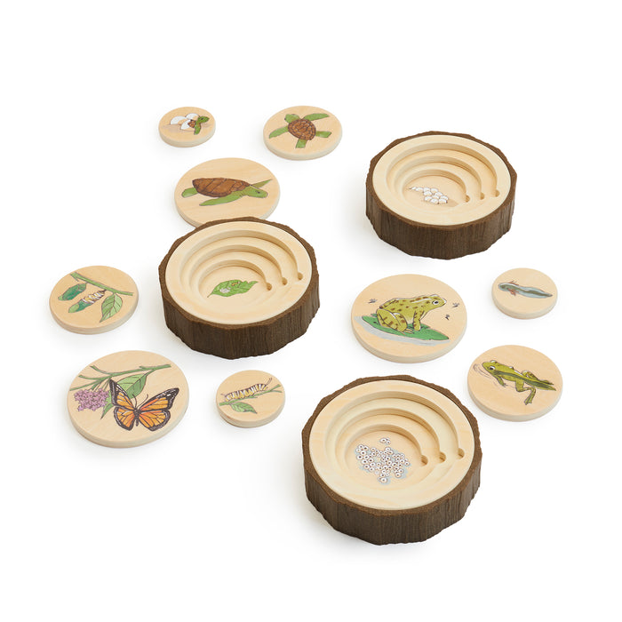 Nature's Life Cycle Puzzles Set of 3