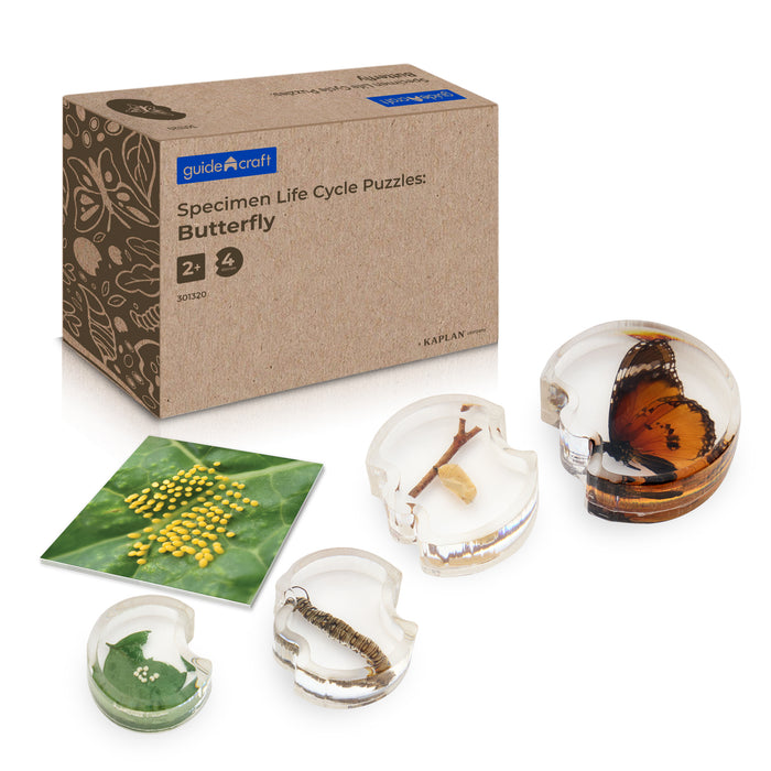 Specimen Life Cycle Puzzle - Butterfly