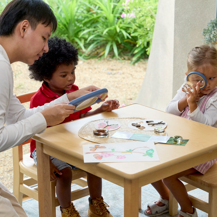 Specimen Life Cycle Puzzle - Butterfly