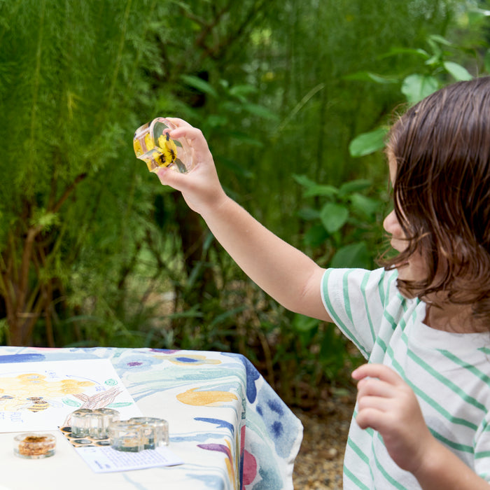 Specimen Life Cycle Puzzle - Bee