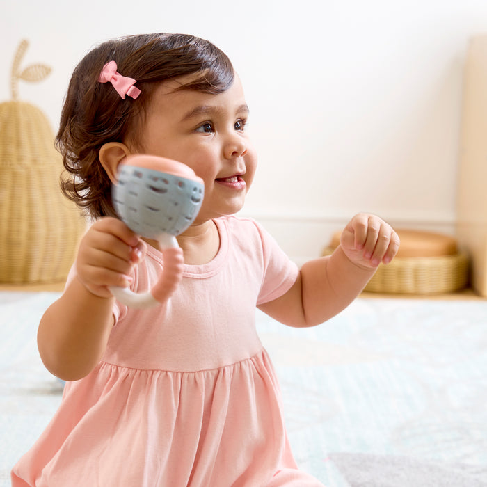 Sensory Shell Shakers Set of Three