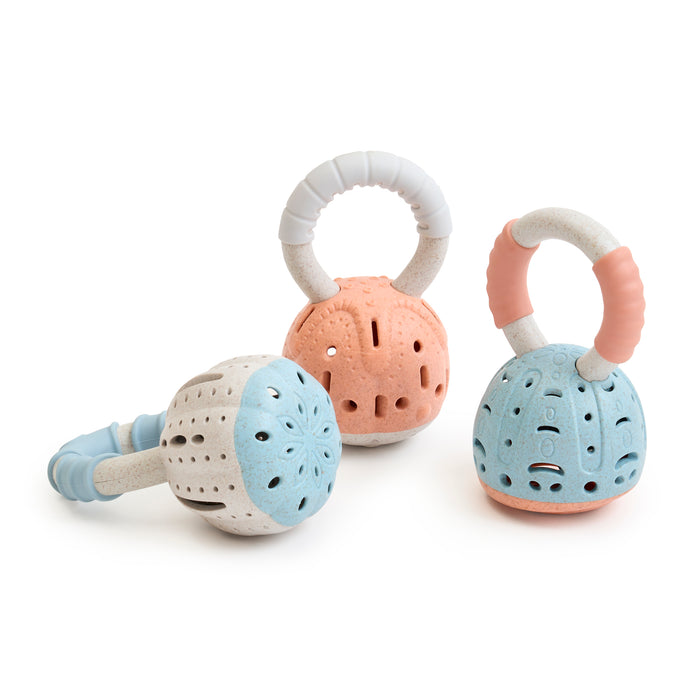 Sensory Shell Shakers Set of Three