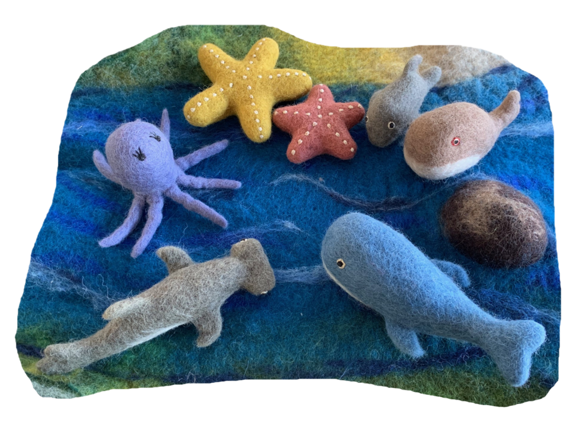 Oceanic Life Set — Curiate NZ